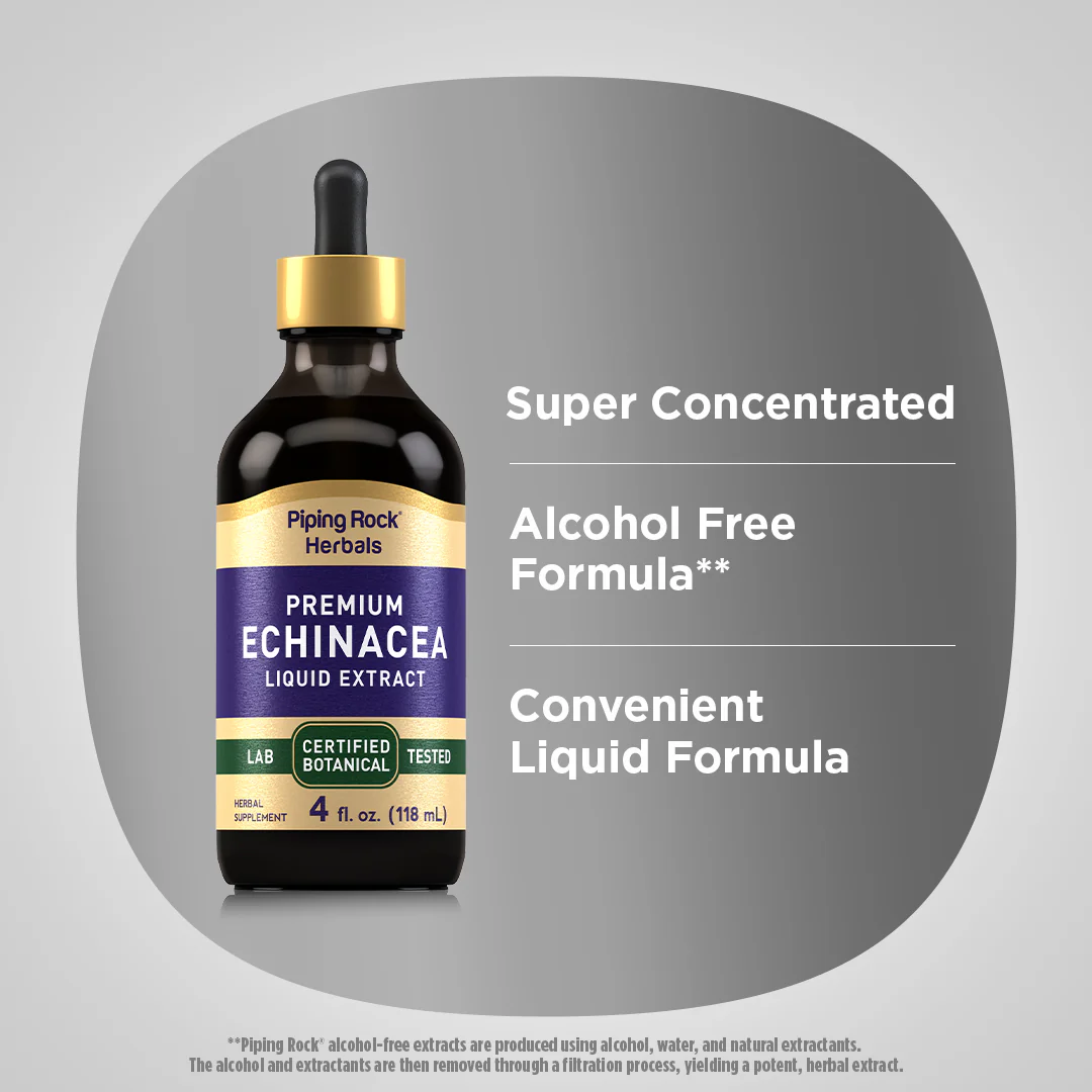 Echinacea Liquid Extract Alcohol Free, 4 fl oz (118 mL) Dropper Bottle - Image 3