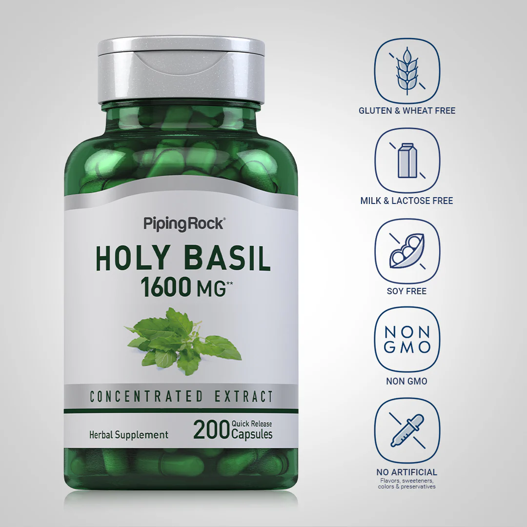 Holy Basil Tulsi, 1600 mg, 200 Quick Release Capsules - Image 5