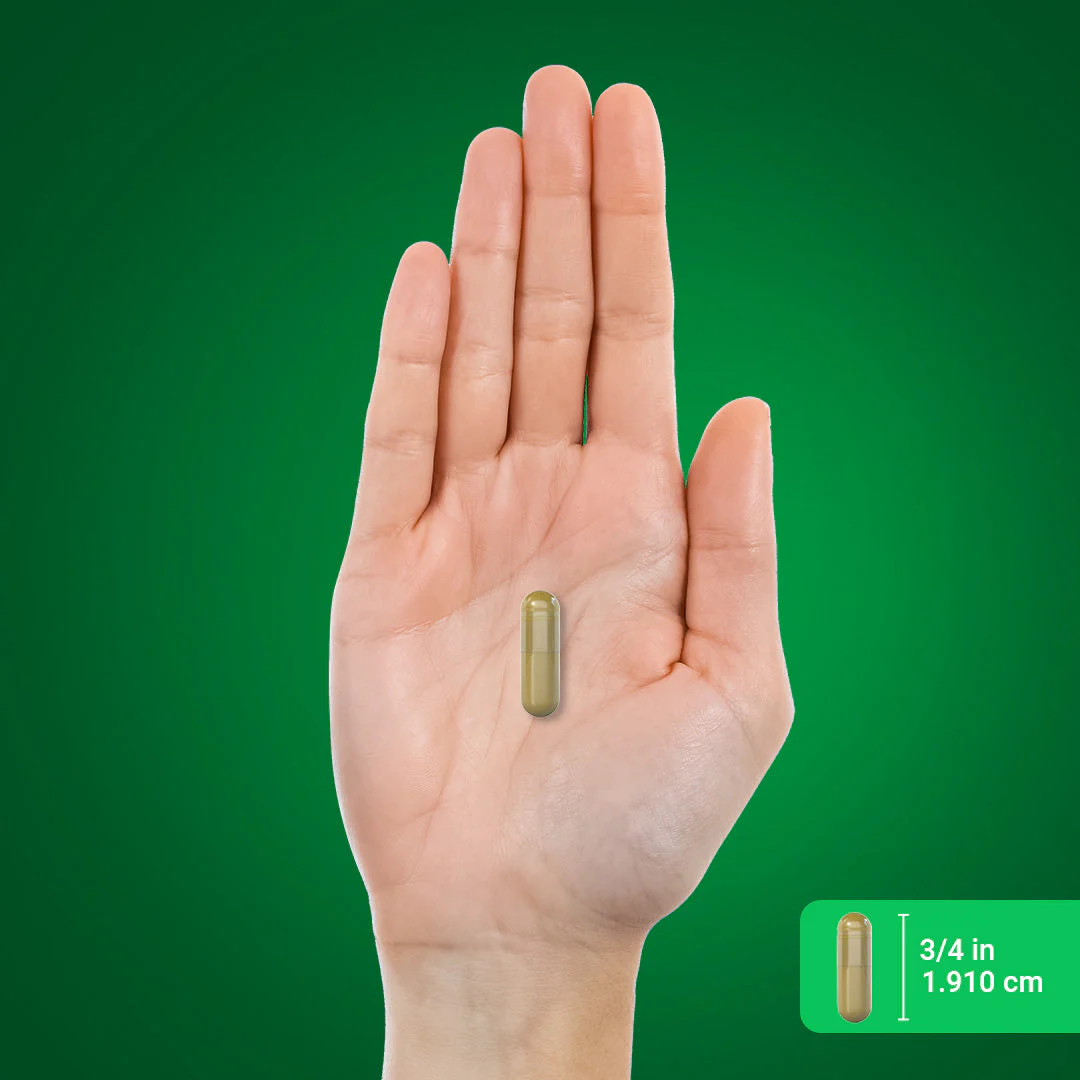 Horsetail, 800 mg, 180 Quick Release Capsules, 2  Bottles - Image 4