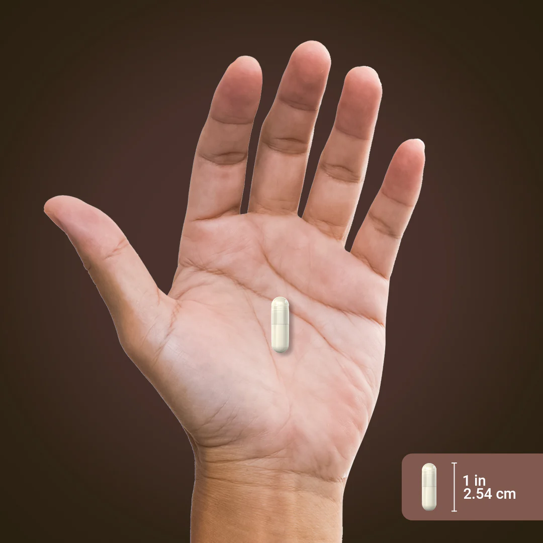 Irish Sea Moss Complex with Bladderwrack & Burdock Root, 2250 mg (per serving), 170 Quick Release Capsules - Image 3
