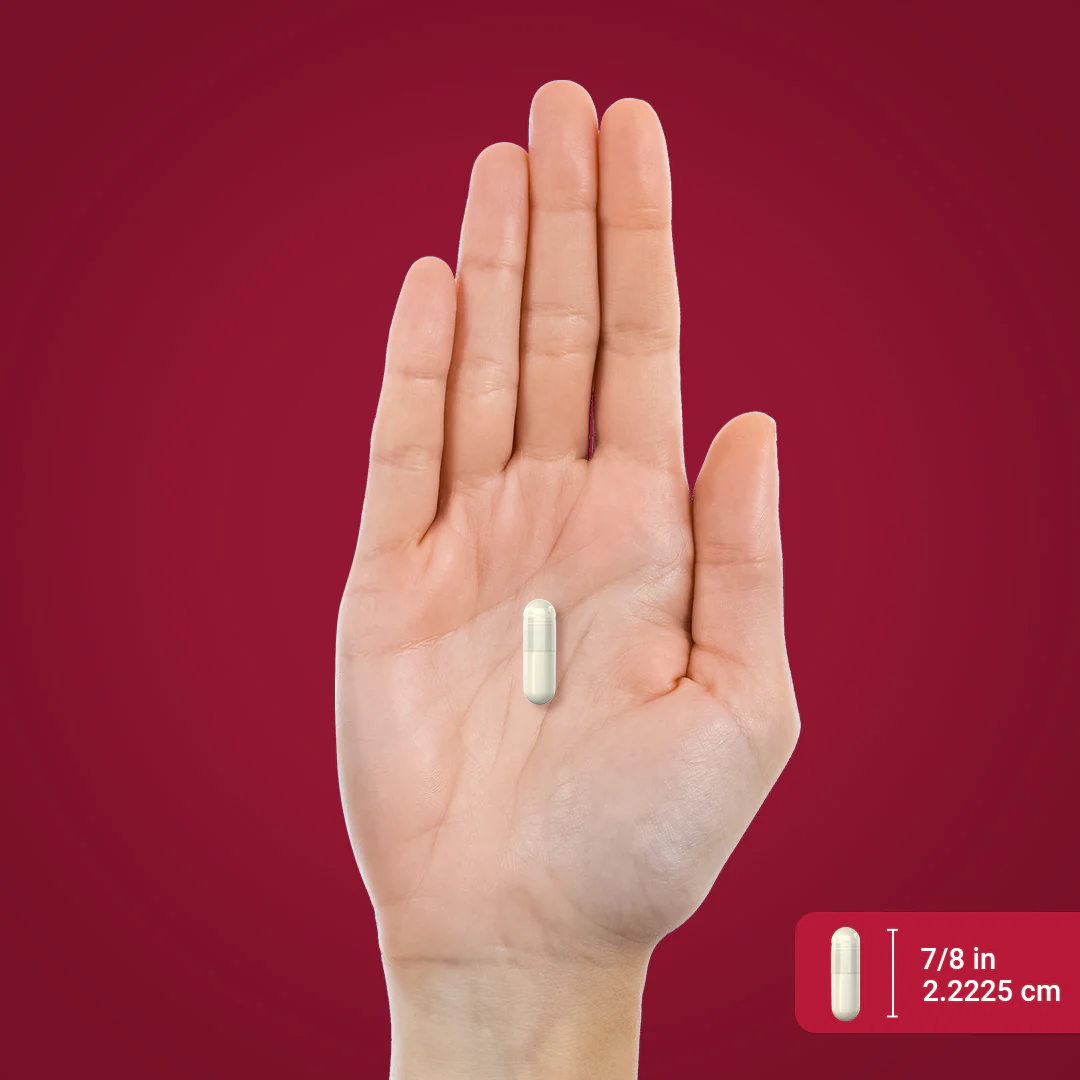 N-Acetyl Cysteine (NAC), 600 mg, 250 Quick Release Capsules - Image 3