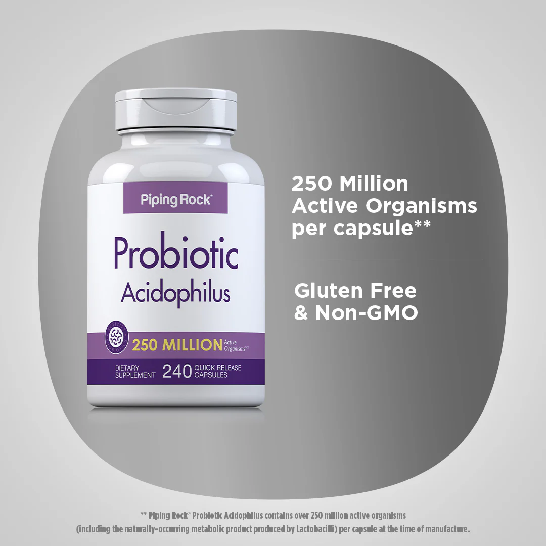 Probiotic Acidophilus 250 Million Organisms, 240 Quick Release Capsules - Image 4